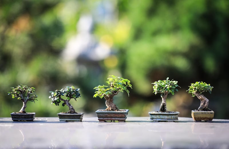 Miniature Landscapes